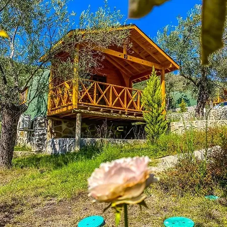 Kazdaglari Saglikli Yasam Koeyue Resort *