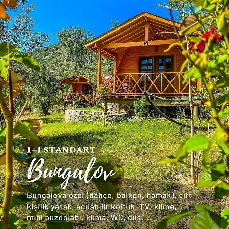 Kazdaglari Saglikli Yasam Koeyue Üdülőközpont