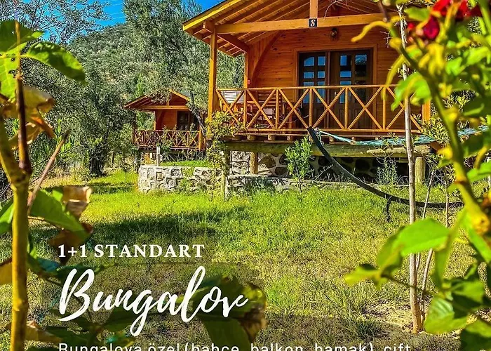 Kazdaglari Saglikli Yasam Koeyue Üdülőközpont