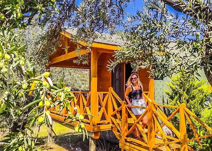 Kazdaglari Saglikli Yasam Koeyue *