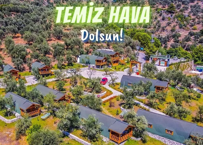 Kazdaglari Saglikli Yasam Koeyue *