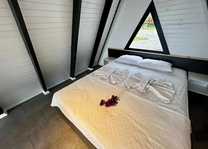 Kazdaglari Saglikli Yasam Koeyue *